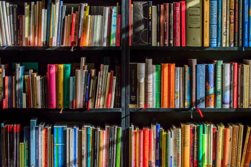 boutique-LA BRIGUE-min_books_bookstore_book_reading_shop_writer_sale_books_read-822866
